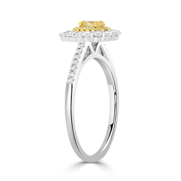 0.16 Yellow Diamond Rings with 0.53tct Diamond set in 14K Two Tone Gold